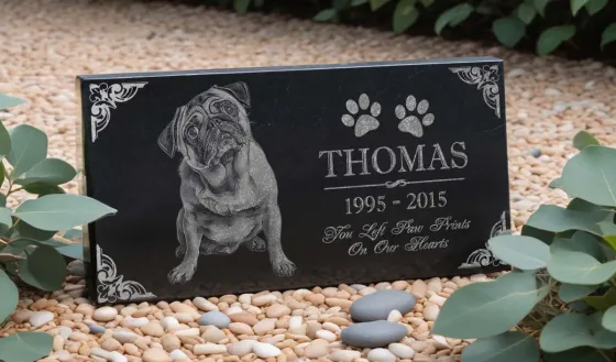 Homenagem afetuosa para pet em placa de granito